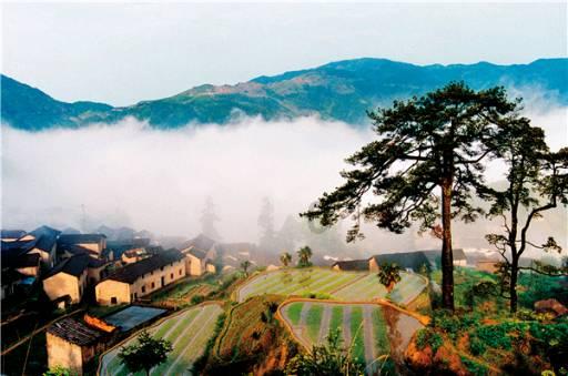 孤岛危机