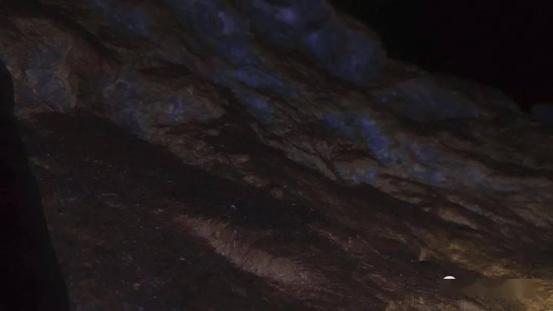 熊出没夺宝历险