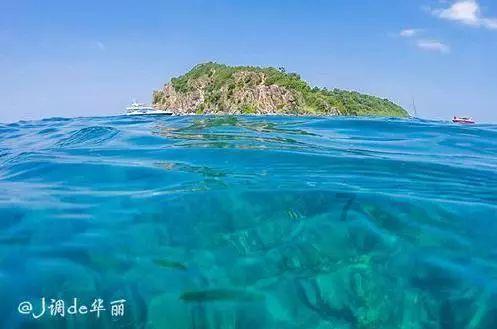 看内饰，这是什么车？游戏画面